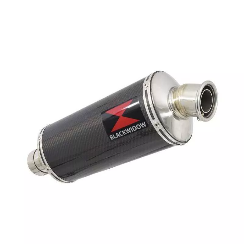 R850GS exhaust tube de raccord et Ovale En Carbone Silencieux 300mm