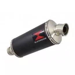 R850GS exhaust tube de raccord et Ovale Noir Silencieux En Inox 300mm