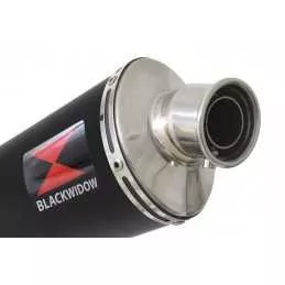 R850GS exhaust tube de raccord et Ovale Noir Silencieux En Inox 300mm
