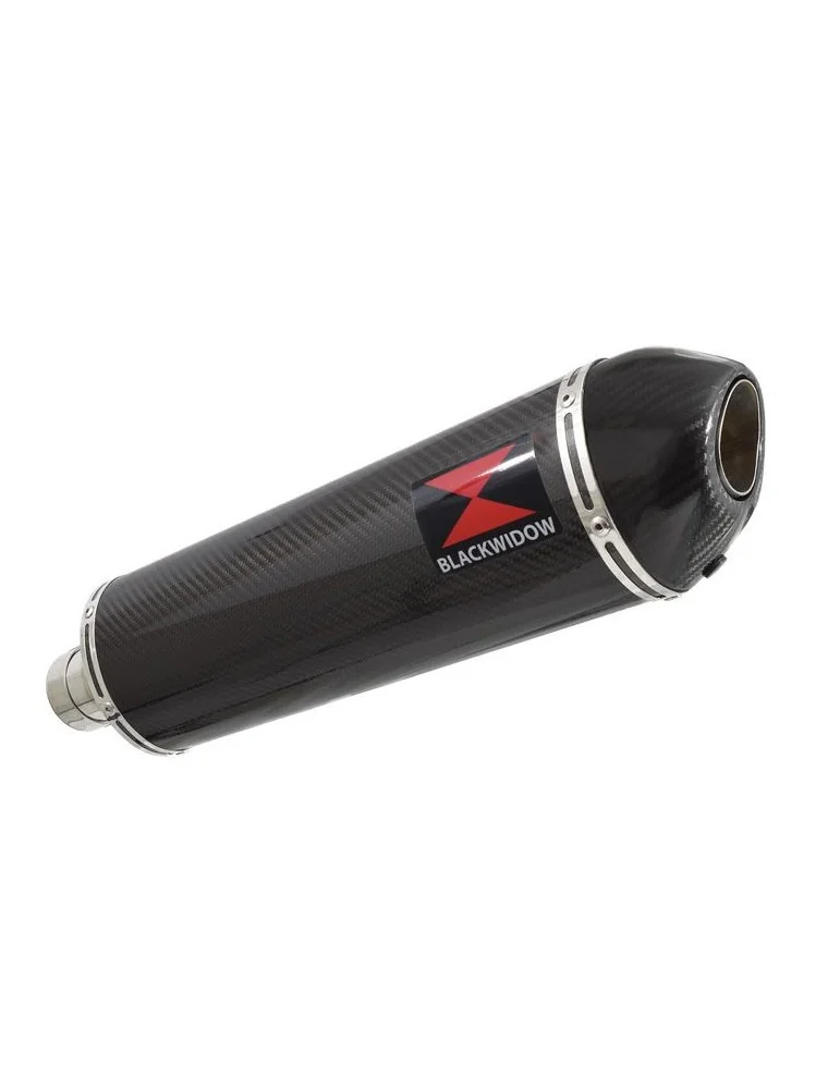R850R ROADSTER exhaust tube de raccord et Ovale En Carbone Silencieux + carbon tip 400mm