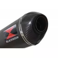 R850R ROADSTER exhaust tube de raccord et Ovale En Carbone Silencieux + carbon tip 400mm