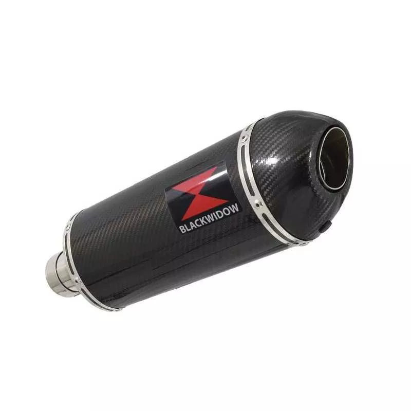R850R ROADSTER exhaust tube de raccord et Ovale En Carbone Silencieux + carbon tip 300mm