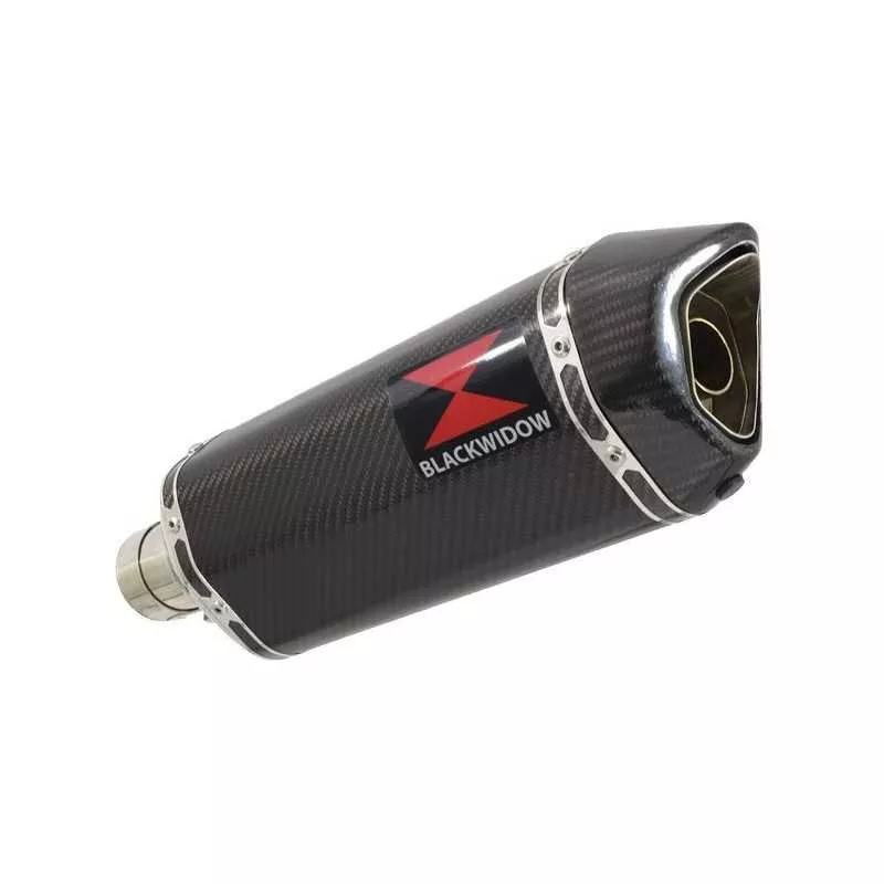 R850R ROADSTER exhaust tube de raccord et Hexagonale En Carbone Silencieux 300mm