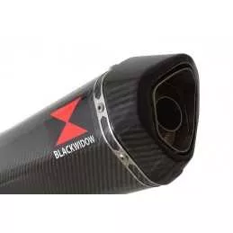 R850R ROADSTER exhaust tube de raccord et Hexagonale En Carbone Silencieux 300mm