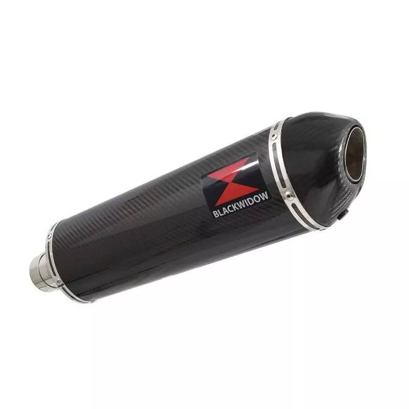 R1150 R ROCKSTER exhaust Silencieux kit & Ovale En Carbone Silencieux + carbon tip 400mm