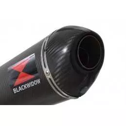 R1150 R ROCKSTER exhaust Silencieux kit & Ovale En Carbone Silencieux + carbon tip 400mm