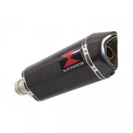 R1150 R ROCKSTER exhaust Silencieux kit & Hexagonale En Carbone Silencieux 300mm