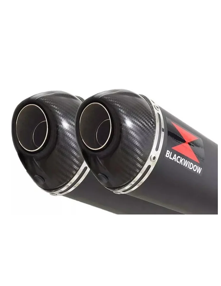 Kawasaki KLV 1000 2004-2007 Silencieux Kit / Silencieux Ovale Noir En Inox + Canule en Carbone 400mm