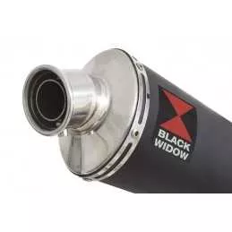 YZF1000 YZF1000R 1996-2003 Thunderace Ligne complète & Silencieux Ovale Noir En Inox 230mm