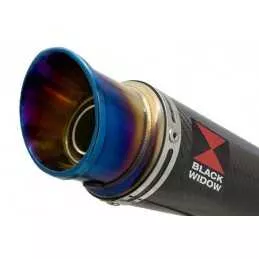 YZF1000 YZF1000R 1996-2003 Thunderace Ligne complète & Silencieux GP Rond En Carbone + Canule en Inox Anodisé 230mm