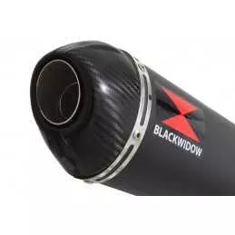 YZF750R YZF750 Tube de raccord et Silencieux Ovale Noir En Inox + Canule En Carbone BC40V 400mm