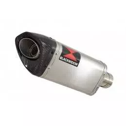 YZF-R 125 2014 - 2018 Hi Level Diamètre XL Ligne complète & Silencieux Tri Ovale en Inox + Canule en  Carbone 250mm