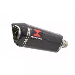 YZF-R 125 2014 - 2018 Hi Level Diamètre XL Ligne complète & Silencieux Hexagonale En Carbone 300mm