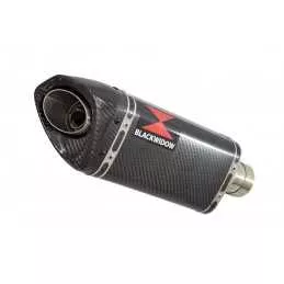 YZF-R 125 2014 - 2018 Hi Level Diamètre XL Ligne complète & Silencieux Tri Ovale En Carbone 250mm