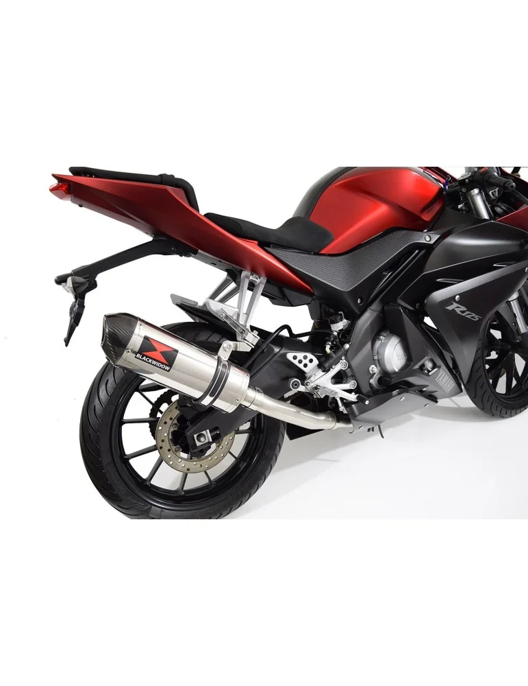 YZF-R 125 2014 - 2018 Hi Level Diamètre XL Ligne complète & Silencieux Ovale En Inox + Canule en Carbone 300mm