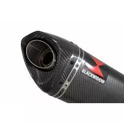 YZF-R 125 2008 - 2013 Passage Haut Diamètre XL Ligne complète & Silencieux Tri Ovale En Carbone 250mm