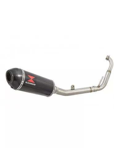 YZF-R 125 2008 - 2013 Passage Bas Diamètre XL Ligne complète & Silencieux Ovale En Carbone 300mm