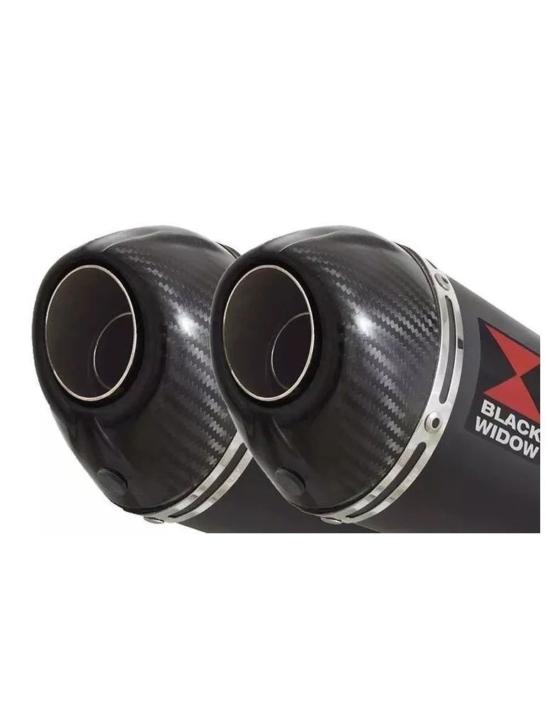 Suzuki DL1000 V-Strom 1000 Silencieux Kit / Silencieux Ovale Noir En Inox & Canule en Carbone 200mm