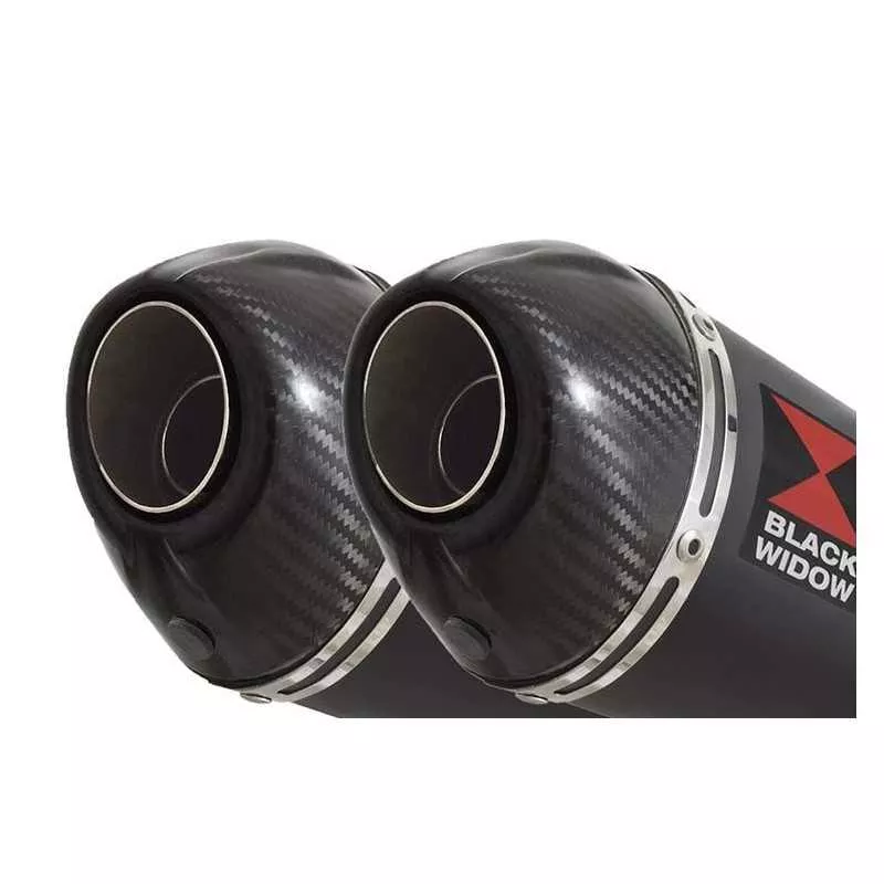 Suzuki DL1000 V-Strom 1000 Silencieux Kit / Silencieux Ovale Noir En Inox & Canule en Carbone 200mm
