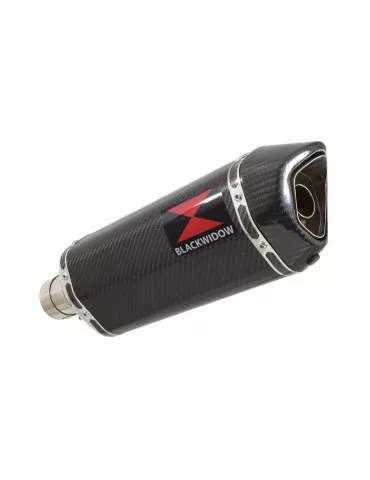 R850GS exhaust tube de raccord et Hexagonale En Carbone Silencieux 300mm