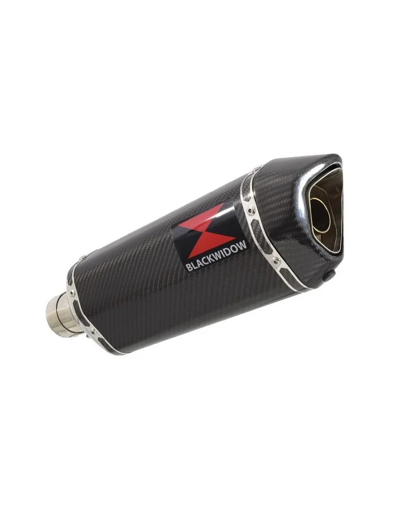 R850GS exhaust tube de raccord et Hexagonale En Carbone Silencieux 300mm