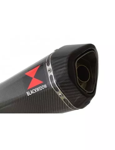 R850GS exhaust tube de raccord et Hexagonale En Carbone Silencieux 300mm