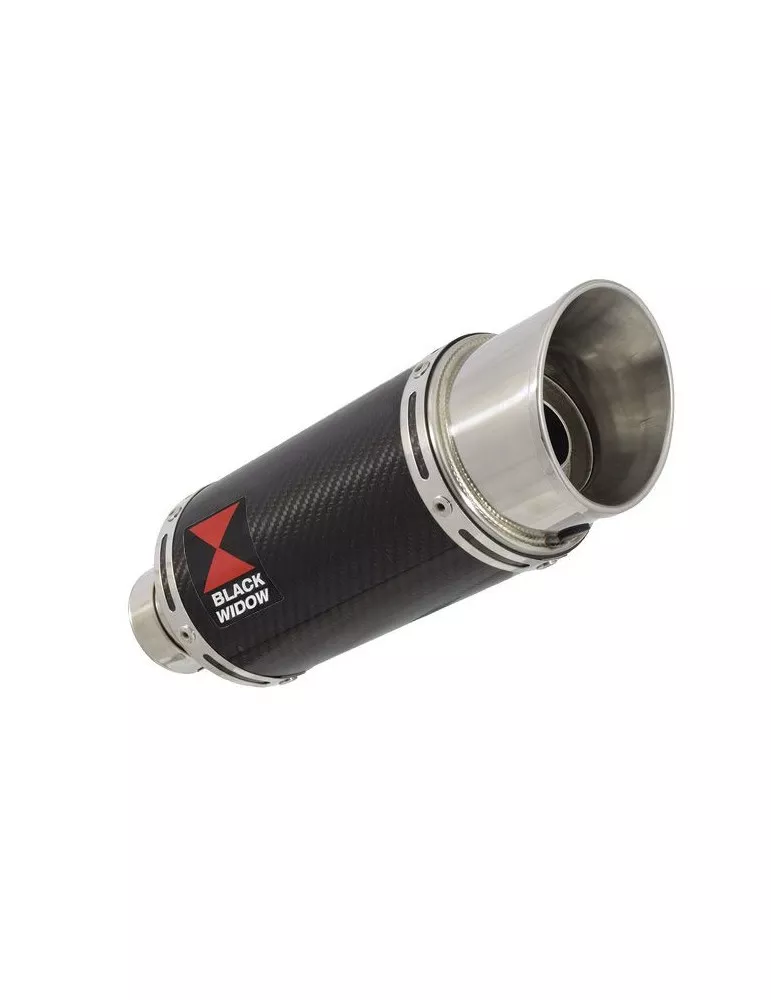 R850GS exhaust tube de raccord et Rond En Carbone Silencieux 200mm