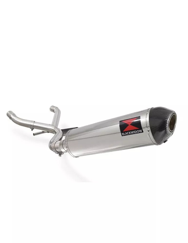 R850GS Décatalyseur exhaust collector & Ovale Silencieux En Inox + carbon tip 400mm
