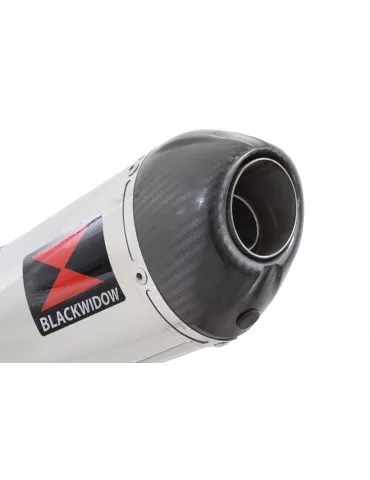 R850GS Décatalyseur exhaust collector & Ovale Silencieux En Inox + carbon tip 300mm
