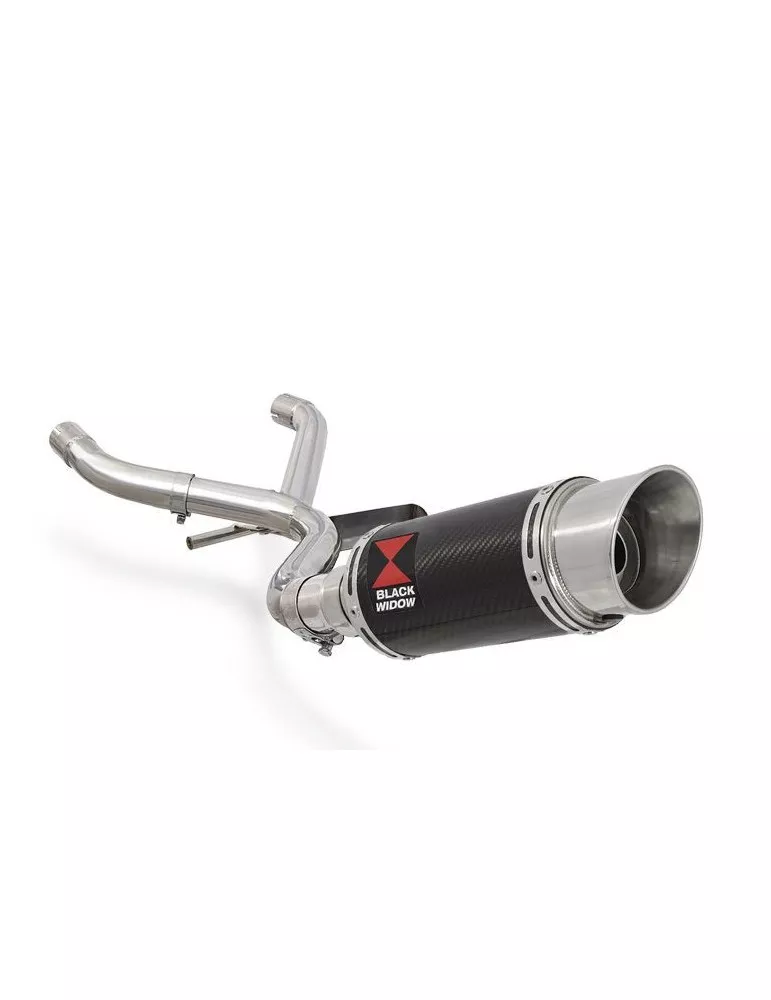 R850GS Décatalyseur exhaust collector & Rond En Carbone Silencieux 200mm