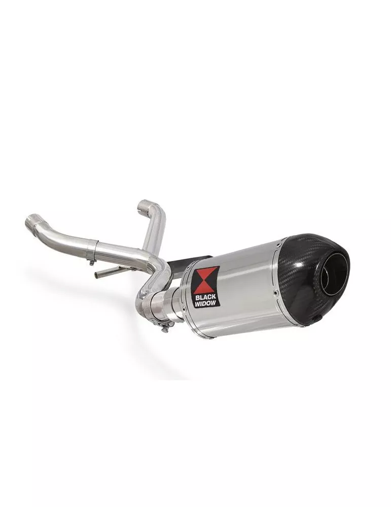 R850GS Collecteur  Décatalyseur & Ovale Silencieux En Inox carbon 200mm