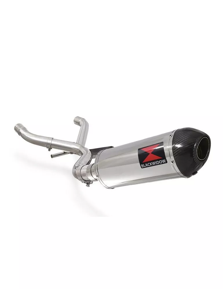 R850R ROADSTER Décatalyseur exhaust collector & Ovale Silencieux En Inox + carbon tip 300mm