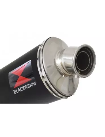 R850R ROADSTER Décatalyseur exhaust collector & Silencieux Ovale Noir En Inox 300mm