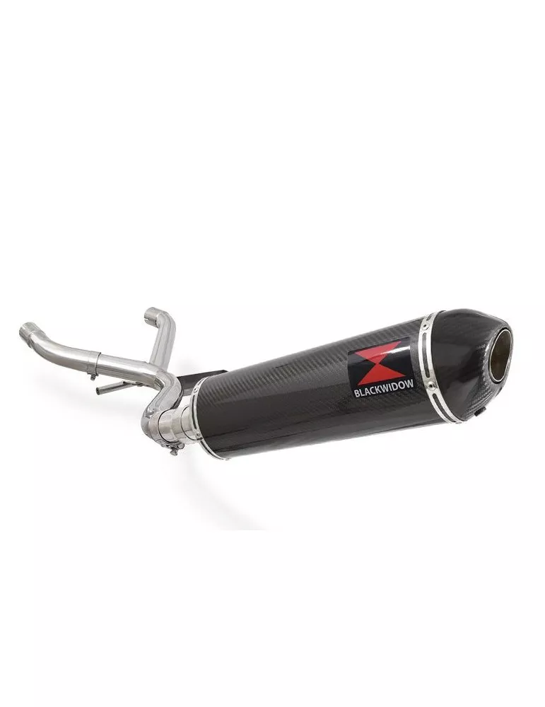 R1150 GS ADVENTURE Décatalyseur exhaust collector & Ovale En Carbone Silencieux + carbon tip 400mm