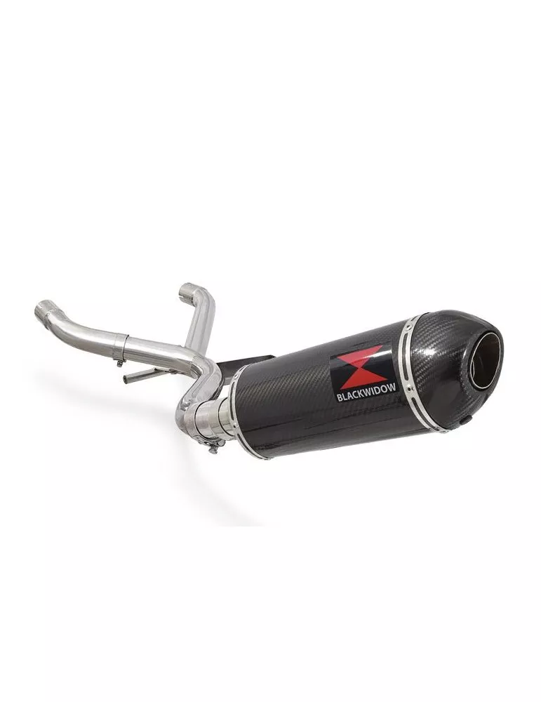 R1150 GS ADVENTURE Décatalyseur exhaust collector & Ovale En Carbone Silencieux + carbon tip 300mm