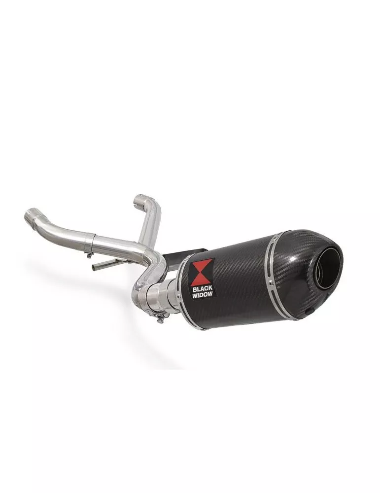 R1150 GS ADVENTURE Décatalyseur exhaust collector & Ovale En Carbone Silencieux + carbon tip 200mm