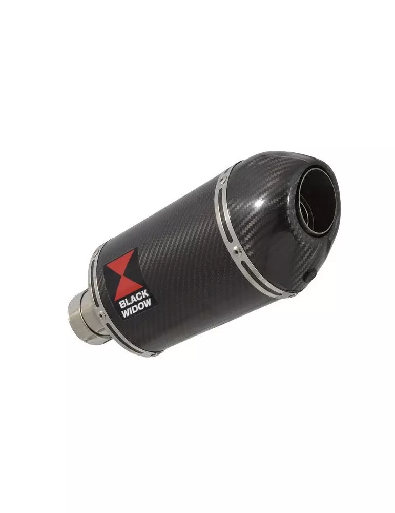 R1150 R ROCKSTER exhaust Silencieux kit & Ovale En Carbone Silencieux + carbon tip 200mm