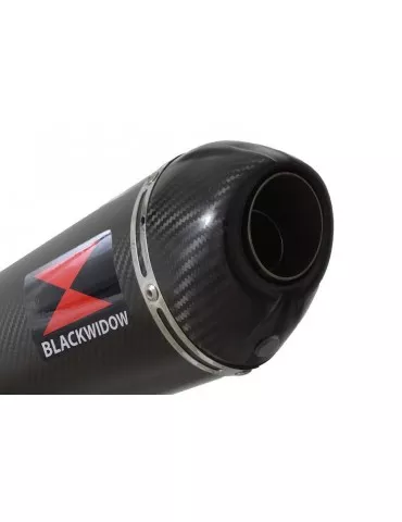 R1150 R ROCKSTER Décatalyseur exhaust collector & Ovale En Carbone Silencieux + carbon tip 400mm