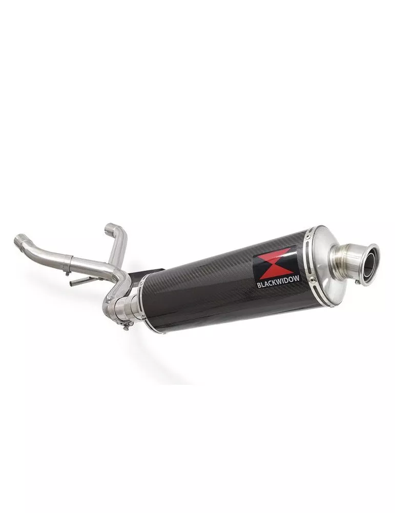 R1150 R ROCKSTER Décatalyseur exhaust collector & Ovale En Carbone Silencieux 400mm