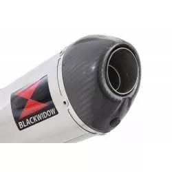 R1150 R ROCKSTER Décatalyseur exhaust collector & Ovale Silencieux En Inox + carbon tip 300mm