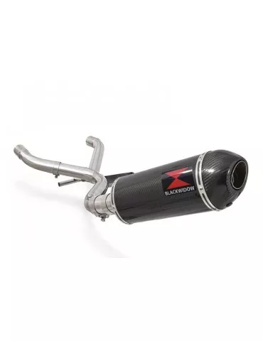 R1150 R ROCKSTER Décatalyseur exhaust collector & Ovale En Carbone Silencieux + carbon tip 300mm