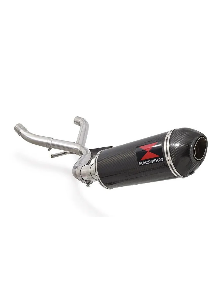 R1150 R ROCKSTER Décatalyseur exhaust collector & Ovale En Carbone Silencieux + carbon tip 300mm