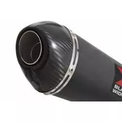 YZF-R 125 2008 - 2013 Passage Bas Diamètre XL Ligne complète & Silencieux Ovale Noir En Inox + Canule En Carbone 200mm