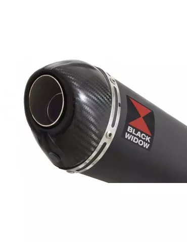 YZF1000 YZF1000R 1996-2003 Thunderace Ligne complète & Silencieux Ovale Noir En Inox + Canule en Carbone 200mm