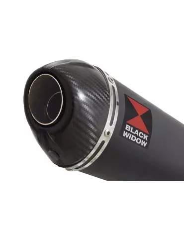 GSF 1200 GSF1200 Bandit 1995-2006 Ligne complète & Silencieux Ovale Noir En Inox + Canule En Carbone