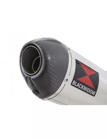 GSX650F GSX 650 F 2007-2016 Tube de raccord et Silencieux Ovale En Inox + Canule en Carbone 300mm