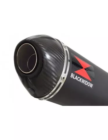 GSX1200 INAZUMA Tube de raccord et Silencieux Ovale Noir En Inox + Canule En Carbone 300mm