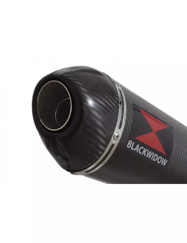GSX1200 INAZUMA Performance Race Exhaust En Carbone Ovale Silencieux & Carbon Tip 400mm