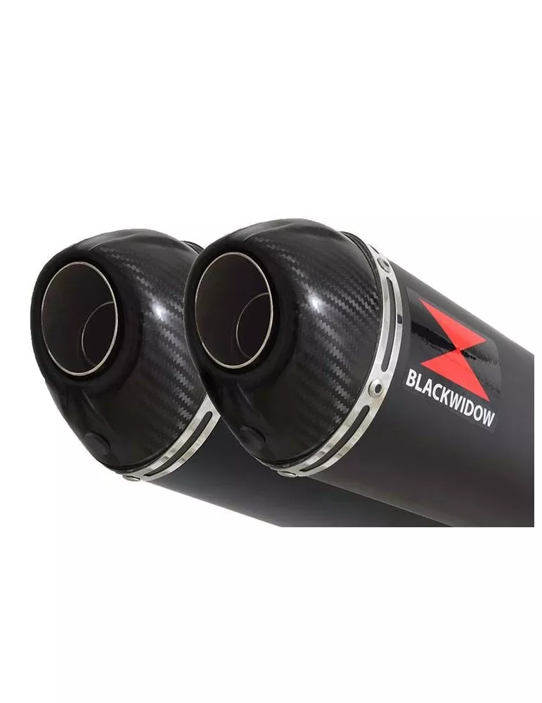 GSX1400 4-2 Silencieux kit & Silencieux Ovale Noir En Inox + Canule en Carbone BC40V 400mm