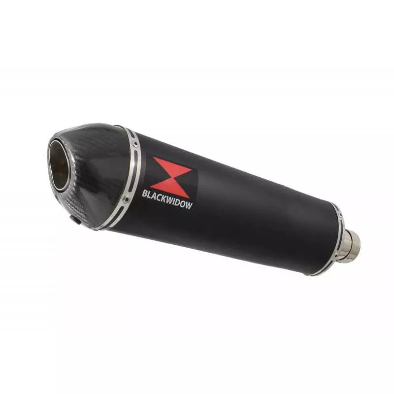 GSX1200 INAZUMA Performance Race Exhaust Black Stainless Ovale Silencieux & Carbon Tip 400mm